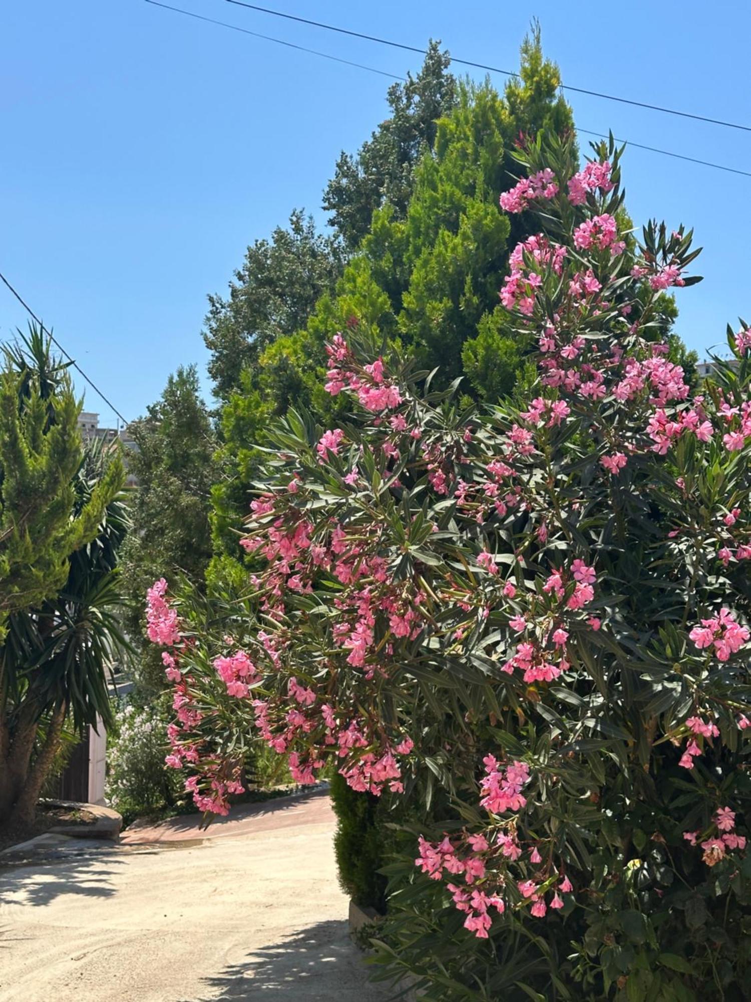 شقة Panoramic Views Of Saranda المظهر الخارجي الصورة